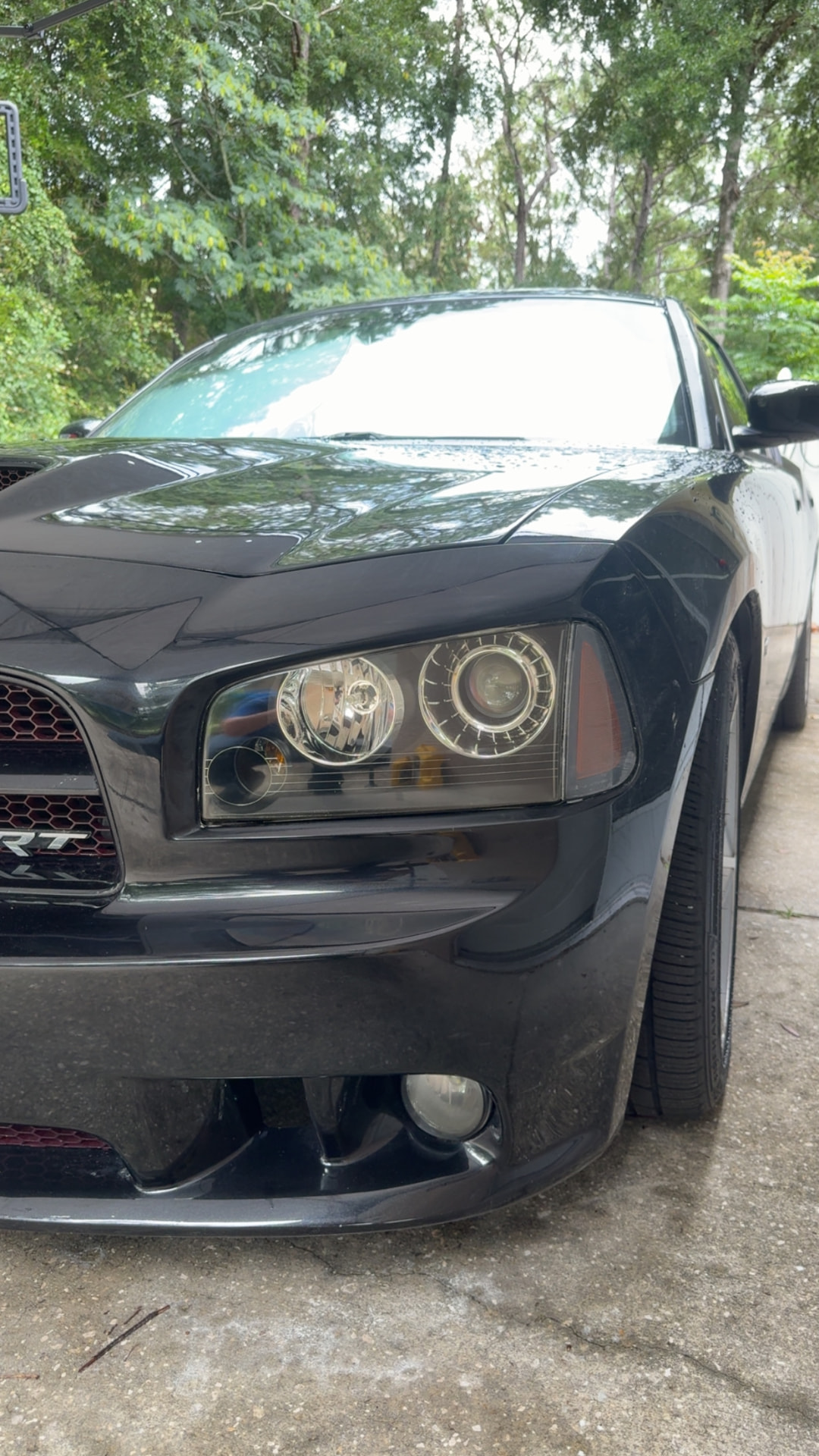 Dodge Charger SRT headlight restored to a clear finish after Crystal Clear headlight restoration in Citrus County FL